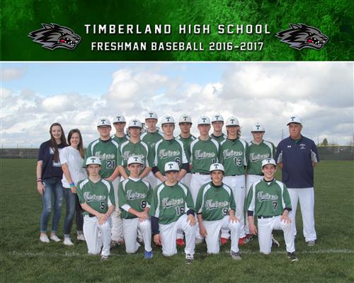 Baseball 2017